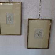 IMG_3292